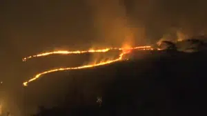 Mamak'taki orman yangınında itfaiye seferber oldu
