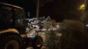 Çorum'da rüzgar ağaç devirdi, park halindeki araca zarar verdi