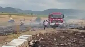 Denizli'de arı kovanlarını tehdit eden yangın: Çok sayıda arı telef oldu