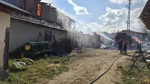 Kastamonu'da çıkan yangında evler ve hayvanlar zarar gördü