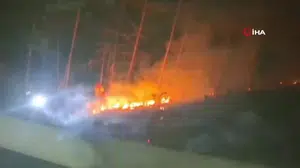 Bolu'da orman yangını riski köylülerin müdahalesiyle önlendi