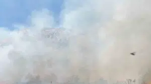 Batman'da yerleşim alanlarını tehdit eden yangın söndürüldü