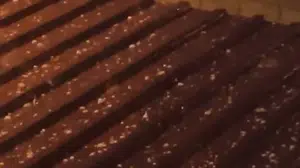 Adana'da gece etkili olan dolu yağışı tarım arazilerini vurdu