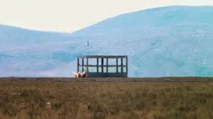 ASELSAN'ın TOLUN mühimmat ailesi, atış testlerinde tam isabet sağladı