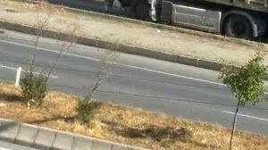 Hasköy'de tır ile panelvan çarpıştı: Üç yaralı hastaneye kaldırıldı