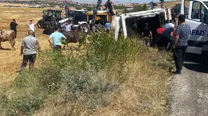 Boztepe'de hayvan taşıyan tır devrildi: Sürücünün durumu iyi