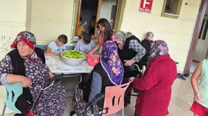 Sinop’ta çocuklar ve yaşlılar birlikte kış hazırlığı yaptı