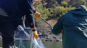 Saraydüzü Tarım ve Orman Müdürlüğü kaçak avcılıkla mücadelede kararlı adımlar atıyor