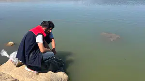 İdil'de su kaynaklarının zenginleşmesi için 100 bin yavru sazan bırakıldı