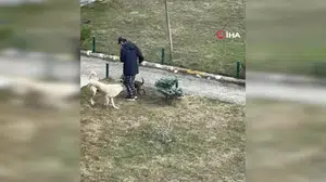 Palandöken sakinlerinden kaymakama destek: Gerilim sadece köpek olayından ibaret değil