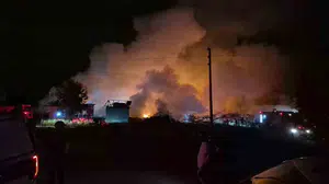 Düzce'deki yangın kontrol altına alınmaya çalışılıyor