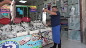 Kilis'te balık sezonu açıldı: Tezgahlarda çeşit zenginliği artıyor