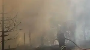 Muş'ta iki bölgede çıkan anız yangınları kontrol altına alındı