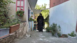 Araştırmanın ve sanatın buluşma noktası: Aliye Yavru'nun 60 yıllık örgü sevgisi sokak hayvanlarına da hayat veriyor