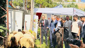 Şırnak'ta çiftçilere 152 bin sebze fidesi ve çoban çantası desteği
