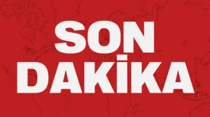 Didim’de organik zeytin ve zeytinyağı üretim alanları denetlendi