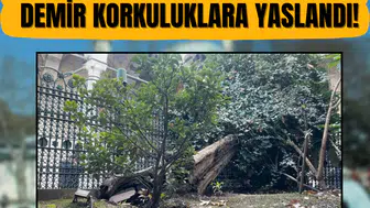 Yüzyılların tanığı, ecdad mirası demir korkuluklara yaslandı!