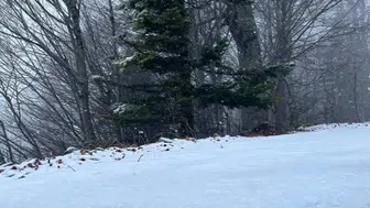 Kocaeli ve çevresinde kar etkisini artırdı: İstanbul için geri sayım başladı