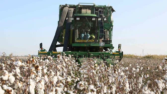 ÇKS için kritik uyarı: Aydın’da son gün 31 Aralık 2025!