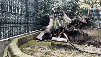 Yüzyılların tanığı, ecdad mirası demir korkuluklara yaslandı!