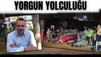 Emekli ormancının yorgun yolculuğu: Son nefesini bir ağacın dibinde verdi…
