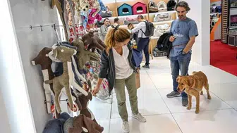 Enflasyonun 'en'leri: Mazot ve sebze el yakarken o ürün yüzde 10 ucuzladı!