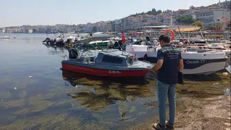 Yalova ve Antalya'da çevre skandalı: Milyonluk cezalar kesildi