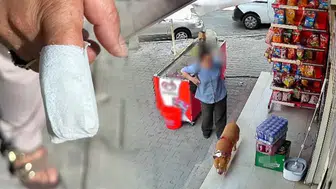İzmir'de pitbull dehşeti: Talihsiz kadının parmağı parçalandı