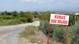 Diyarbakır'da korkutan kuduz vakası: 3 yaşındaki çocuk tedavi altında