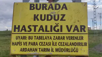 Büyükbaş hayvanda virüs tespit edildi, o mahalleye giriş ve çıkışlar kapatıldı