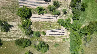 Orman köylüsüne dev kaynak: Bu yıl tam 3,3 milyar lira dağıtılacak
