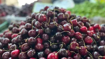 Yaş meyve ihracatında tarihi eşik: 7 ayda 1 milyar dolar barajı aşıldı