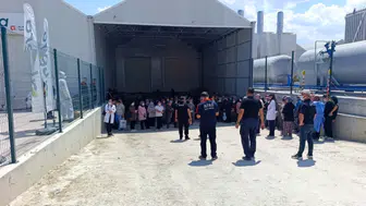 Domates serasında ilaçlama faciası: Onlarca çalışan fenalaştı!