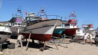 Sinop'ta av sezonu heyecanı! Balıkçılar palamut bekliyor
