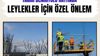 Tarihi demiryolu hattında leylekler için özel önlem alındı