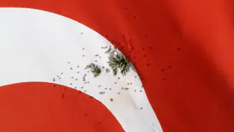 Burdur'da skandal olay: Avşar Tepe'deki Türk bayrağına silahlı saldırı