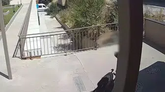 İstanbul'da uyuşturucu operasyonu: Pusetteki bebeği zula yaptılar