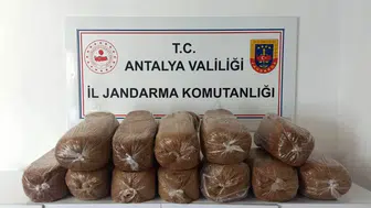 Antalya'da jandarmadan kaçak tütün operasyonu: 785 kilo ele geçirildi