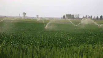 Konya Ovası’nda aşırı su kullanımı dev yarıklar açmaya devam ediyor