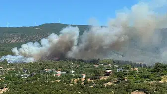 Kuyucak’taki orman yangınına hava desteğiyle müdahale ediliyor
