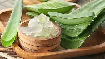 Aloe Vera ne işe yarar? Cilde Faydaları nelerdir, nasıl kullanılır, zararlı mı, nerede yetişir?