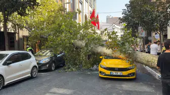 Şişli'de ağaç araçların üzerine devrildi: Yol trafiğe kapandı