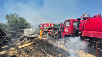 Manavgat'ta antik kent yakınındaki zeytinlik alanda çıkan yangında 1,25 dönümlük alan kül oldu