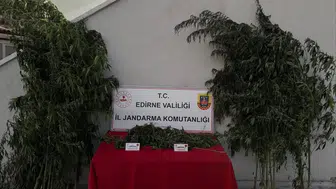 Uzunköprü'de kenevir baskını: 52 kök ve esrar ele geçirildi