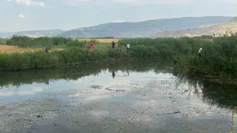 Meriç'te tarım çalışmaları değerlendirildi, İpsala'da proje sahası incelendi