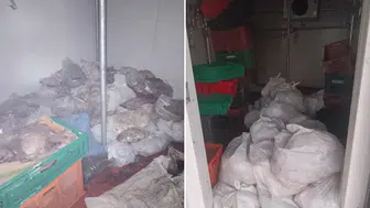 Bodrum'da kasap deposunda 400 kilo bozuk et ele geçirildi
