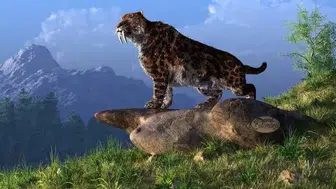 Kılıç dişli kaplan (Smilodon) nedir? Özellikleri nelerdir, insana zarar verir mi, neden yok oldu?