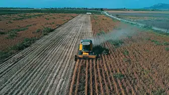 Çiftçinin hesabına dev kaynak yatıyor: Bakan yumaklı detayları paylaştı!