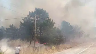 Kırşehir Kaman'da 3 ayrı noktada anız yangını: 1330 dönüm arazi kül oldu
