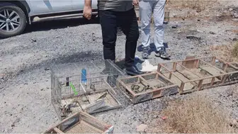Doğa katliamına geçit yok: Kaçak avcılara 2 milyon liralık rekor ceza